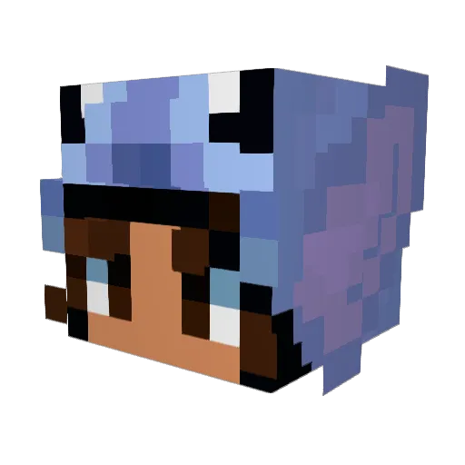 Noodlesayl Minecraft avatar head, 3D render