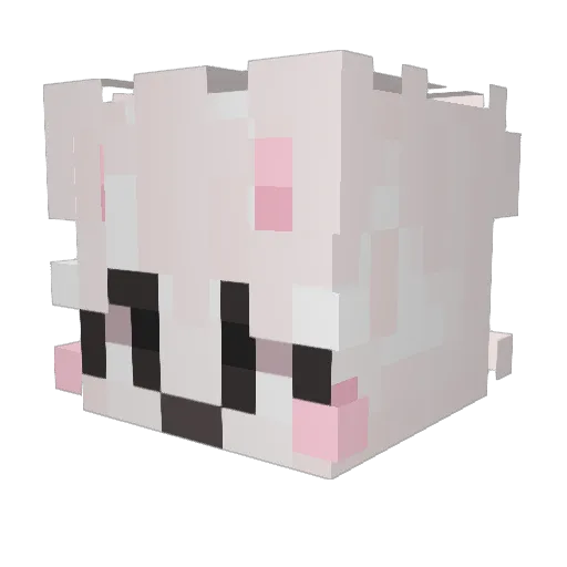 NoodlessX3 Minecraft avatar head, 3D render