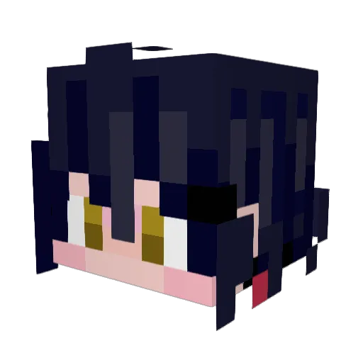 Noodlesteroyds Minecraft avatar head, 3D render