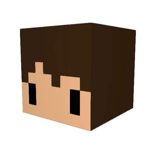Noodlezz_ Minecraft avatar head, 3D render