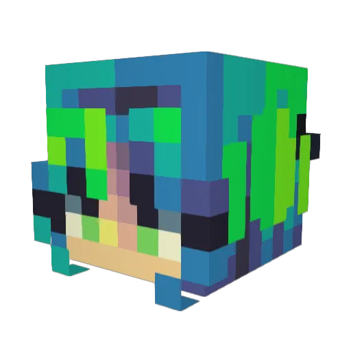 Noodlycat Minecraft avatar head, 3D render