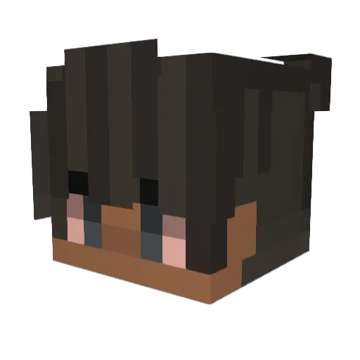 NooenJR Minecraft avatar head, 3D render