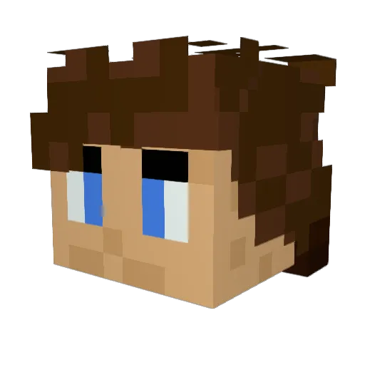 Noofer1 Minecraft avatar head, 3D render