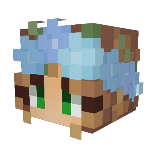 Noofy1603 Minecraft avatar head, 3D render