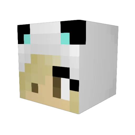 NooitDieter Minecraft avatar head, 3D render