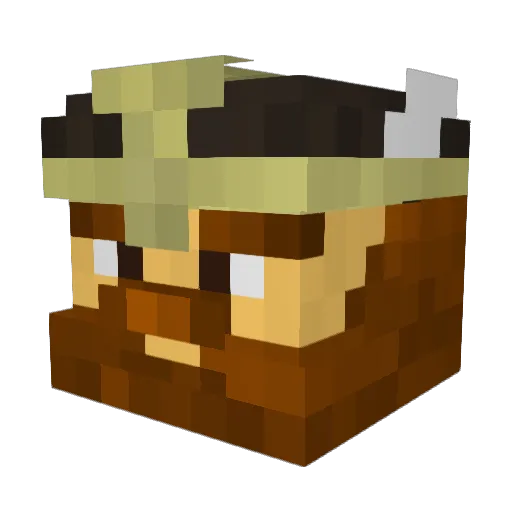 NooklearToaster Minecraft avatar head, 3D render