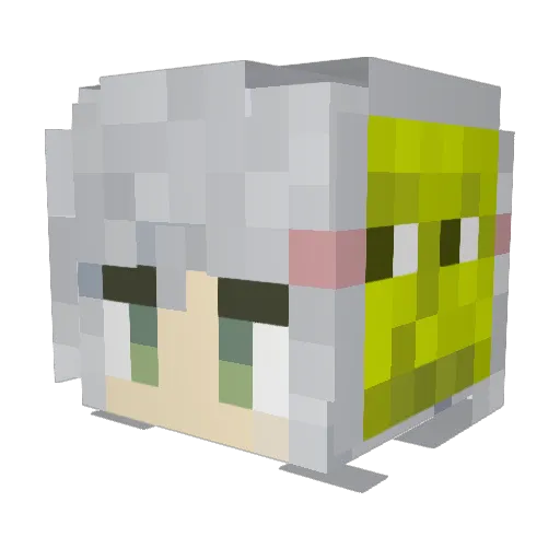 NoonWhite Minecraft avatar head, 3D render