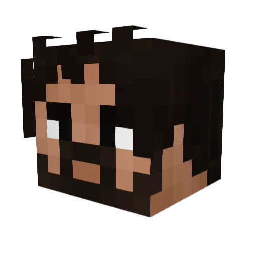 Noon_Specialist Minecraft avatar head, 3D render