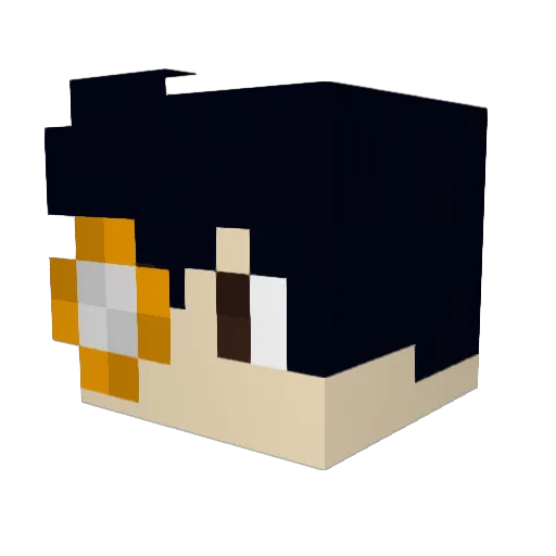 Nooogis Minecraft avatar head, 3D render