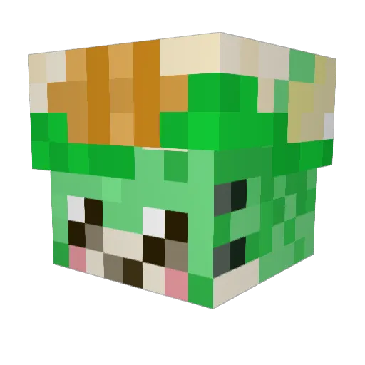 NoooooLq Minecraft avatar head, 3D render