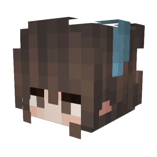 NooooodleNeck Minecraft avatar head, 3D render