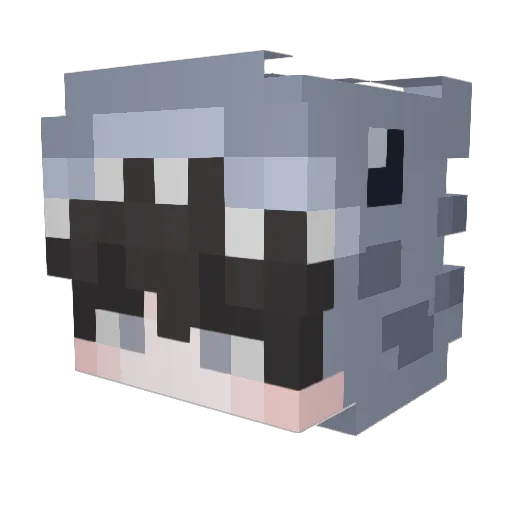 Noopy013 Minecraft avatar head, 3D render