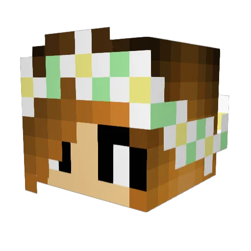 NoortjeTimmers Minecraft avatar head, 3D render