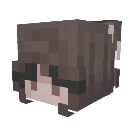 Noorwegen Minecraft avatar head, 3D render