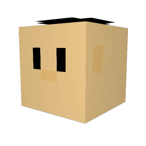 NooseKa Minecraft avatar head, 3D render