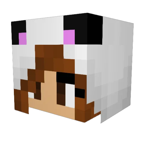NooseOutfit1 Minecraft avatar head, 3D render