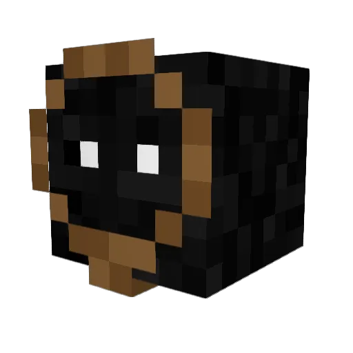 Nooseance_ Minecraft avatar head, 3D render