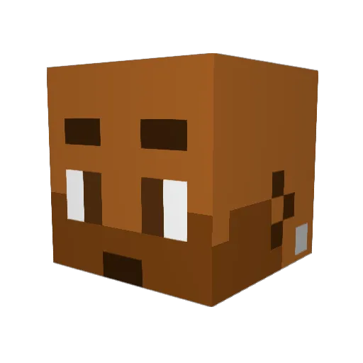 Nopaan Minecraft avatar head, 3D render