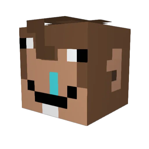 NopalAja Minecraft avatar head, 3D render