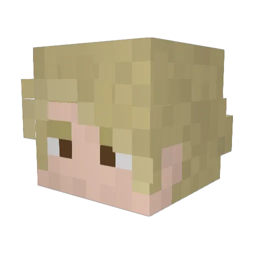 Noparents21 Minecraft avatar head, 3D render