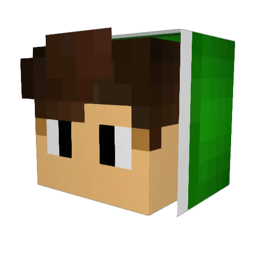 Nope159 Minecraft avatar head, 3D render