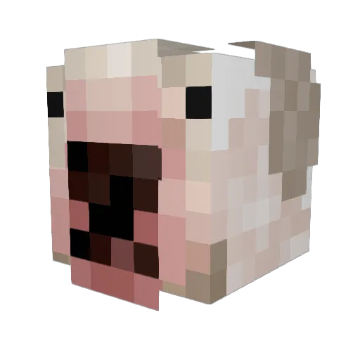 NopeNotHappening Minecraft avatar head, 3D render
