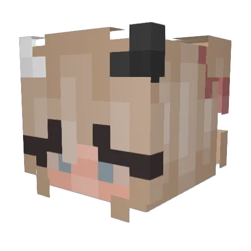 NopeTheFishi Minecraft avatar head, 3D render