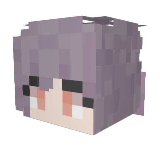 Nope_ID Minecraft avatar head, 3D render