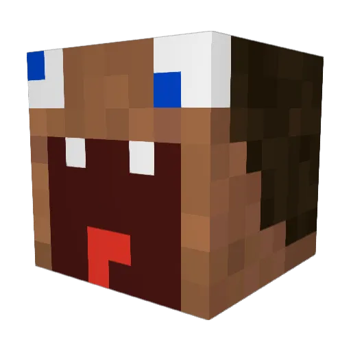 Nopflop Minecraft avatar head, 3D render
