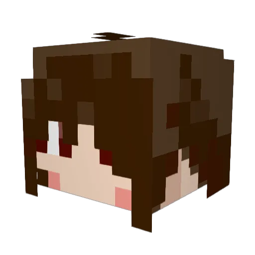 Nopia425 Minecraft avatar head, 3D render