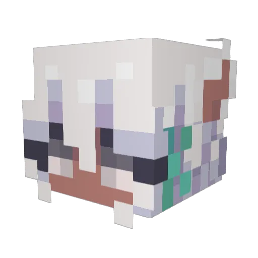 Nopon Minecraft avatar head, 3D render