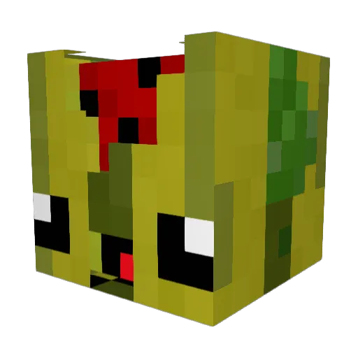 Noppes1234 Minecraft avatar head, 3D render