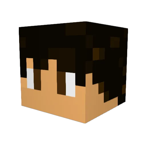 Nopro1134 Minecraft avatar head, 3D render