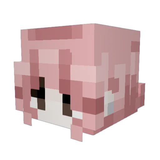 NorWhal2000 Minecraft avatar head, 3D render
