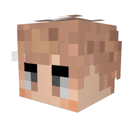 Nor_2732 Minecraft avatar head, 3D render