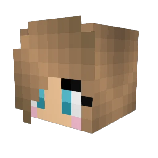 Nora1401 Minecraft avatar head, 3D render