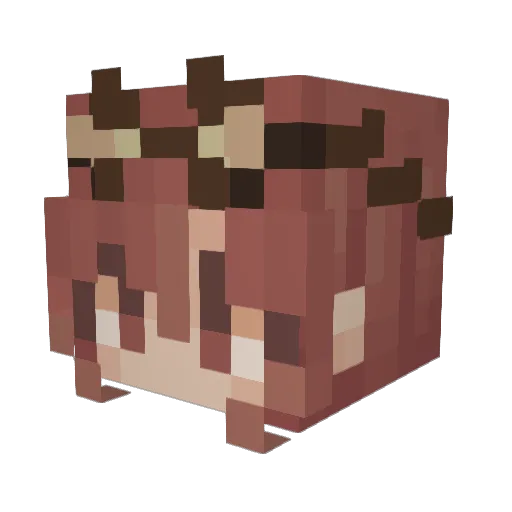 Nora1987 Minecraft avatar head, 3D render