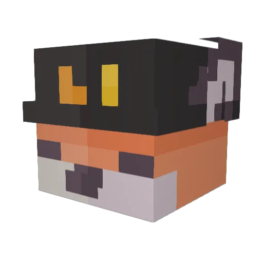 Nora2020 Minecraft avatar head, 3D render