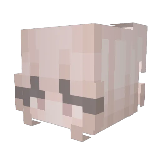 NoraBaby Minecraft avatar head, 3D render