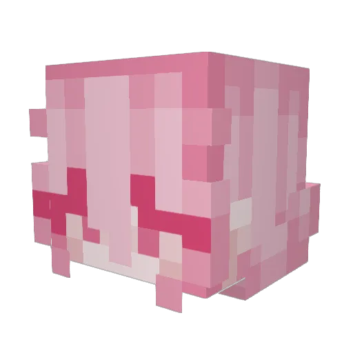 NoraIren Minecraft avatar head, 3D render