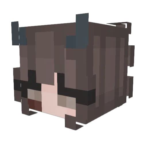 Nora_549 Minecraft avatar head, 3D render