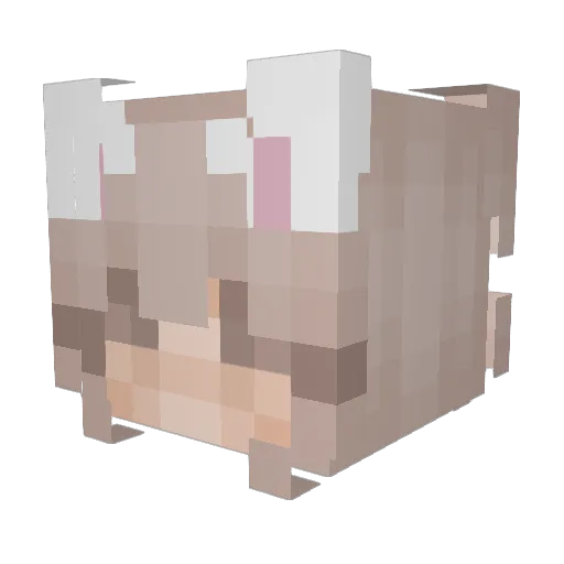 Nora_CN Minecraft avatar head, 3D render