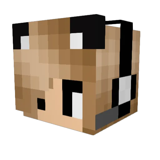 Nora___ Minecraft avatar head, 3D render