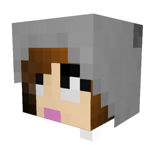 Nora_aah Minecraft avatar head, 3D render