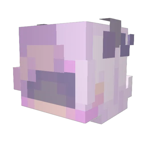 Noraa298 Minecraft avatar head, 3D render