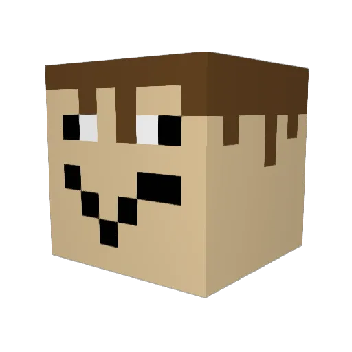 Noraliber Minecraft avatar head, 3D render