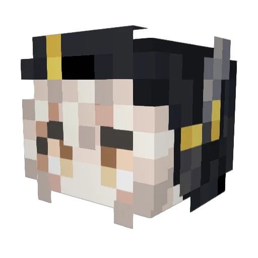 NoranPhoenix Minecraft avatar head, 3D render