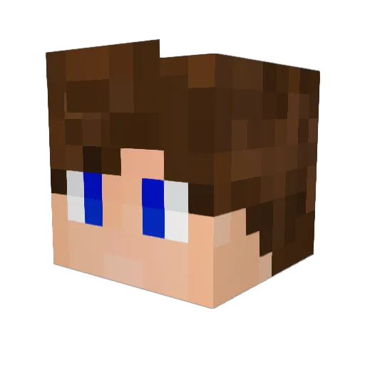 Norbert0 Minecraft avatar head, 3D render