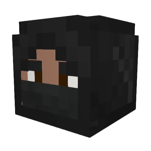 Norbrink_Pr_JR Minecraft avatar head, 3D render