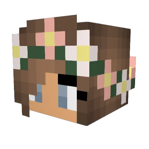 Norcinux Minecraft avatar head, 3D render